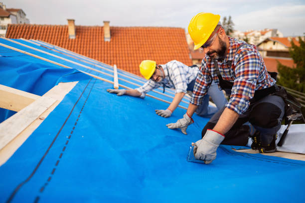 Best Cold Roofs  in Paonia, CO